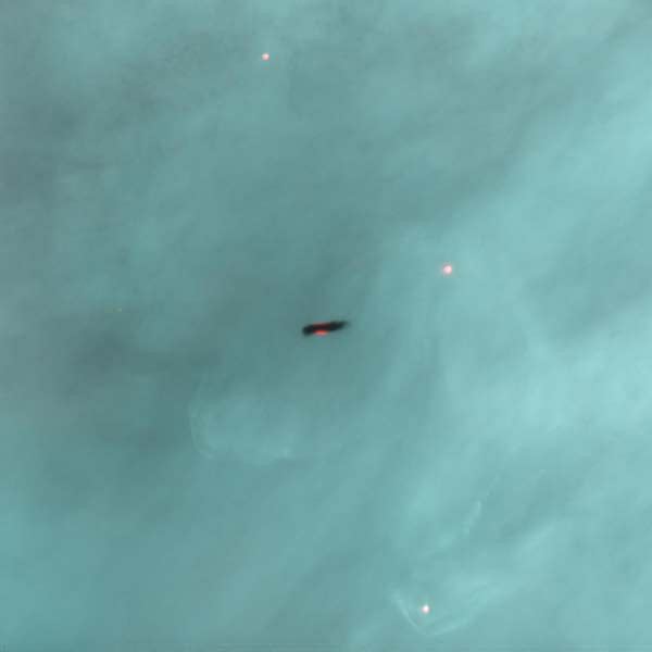 Proplyd in the Orion Nebula