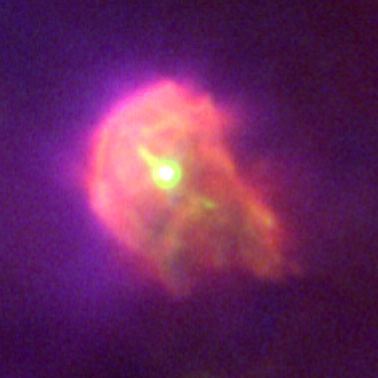 Proplyd in the Orion Nebula