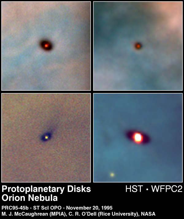 Protoplanetary Discs in the Orion Nebula