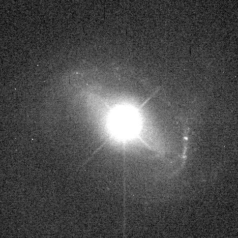 Quasar host galaxy