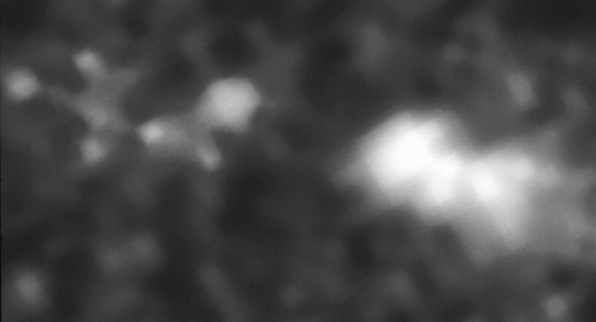 Radio galaxy 4C41.17