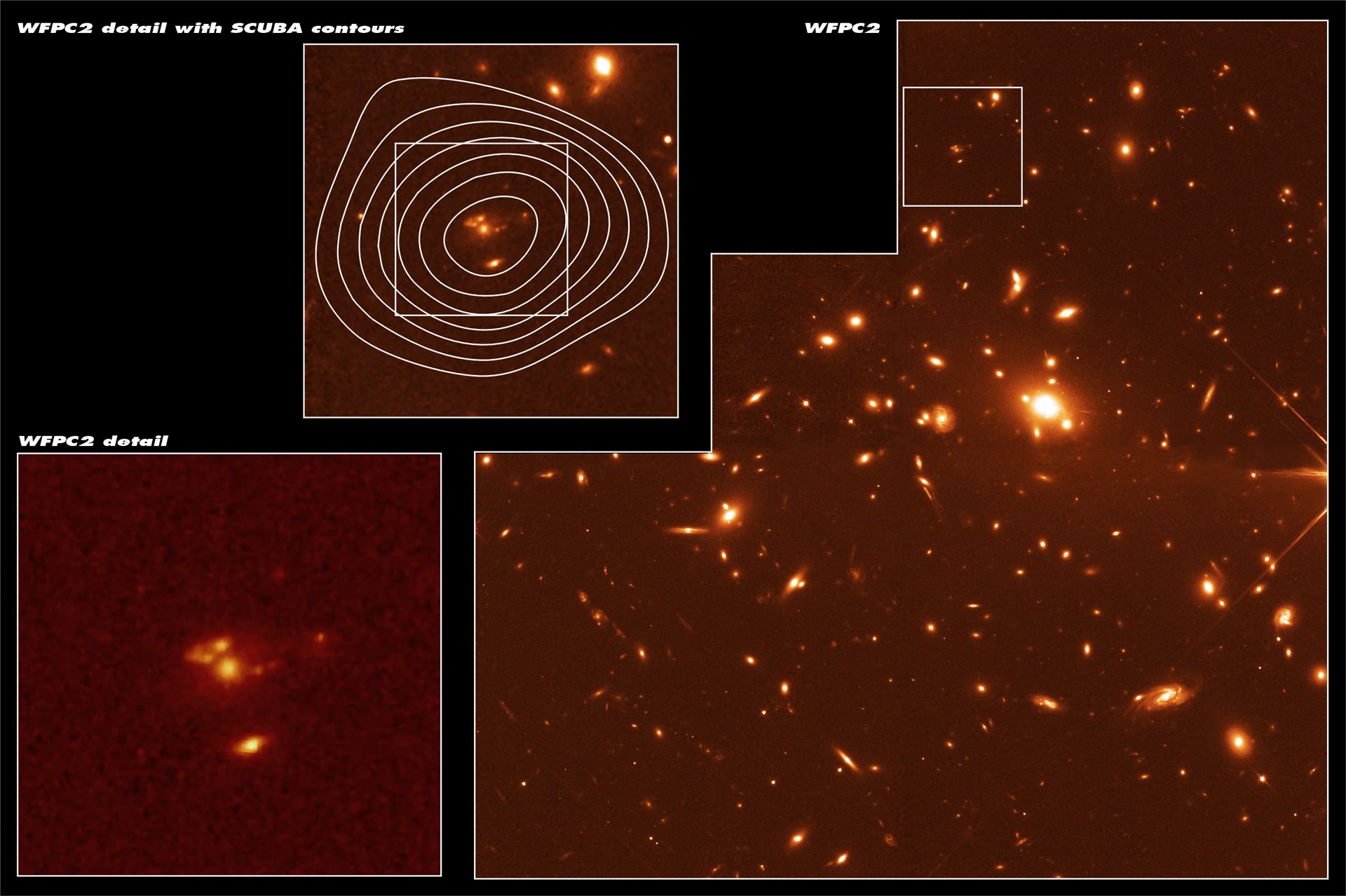 Remote Starburst Galaxy J1J2 Lensed by Abell 1835