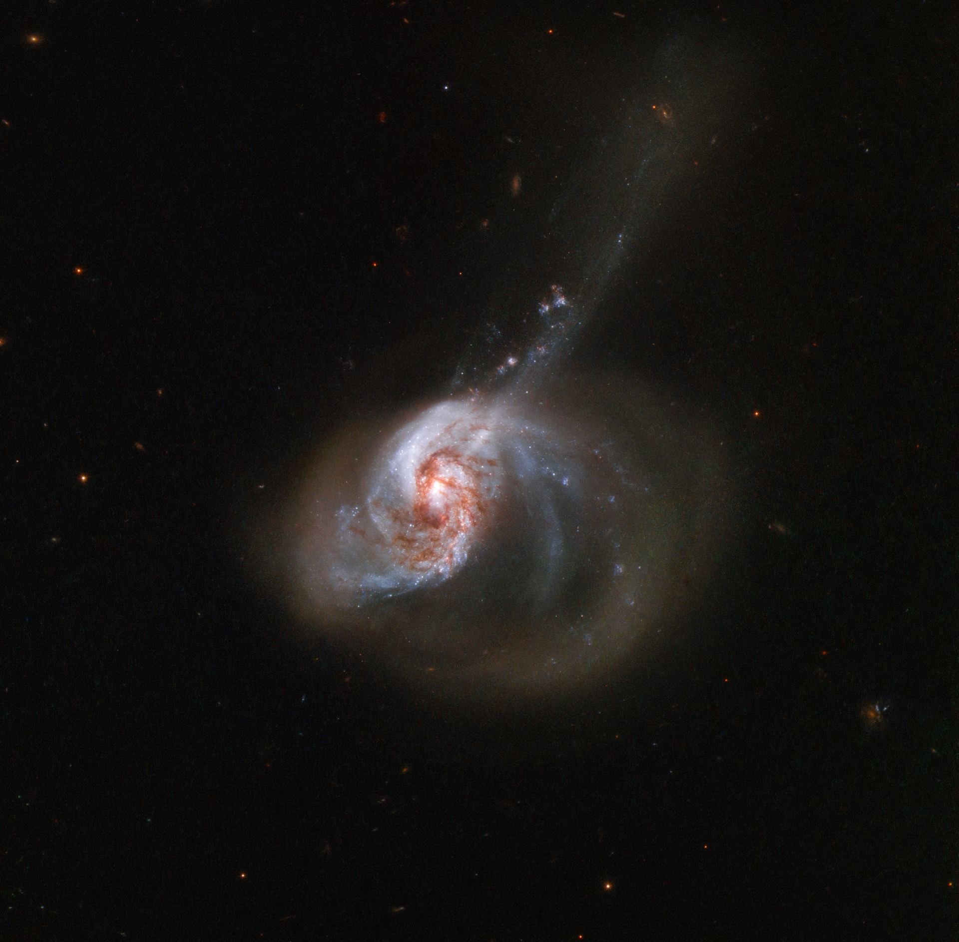 Ring of Stellar Wildfire