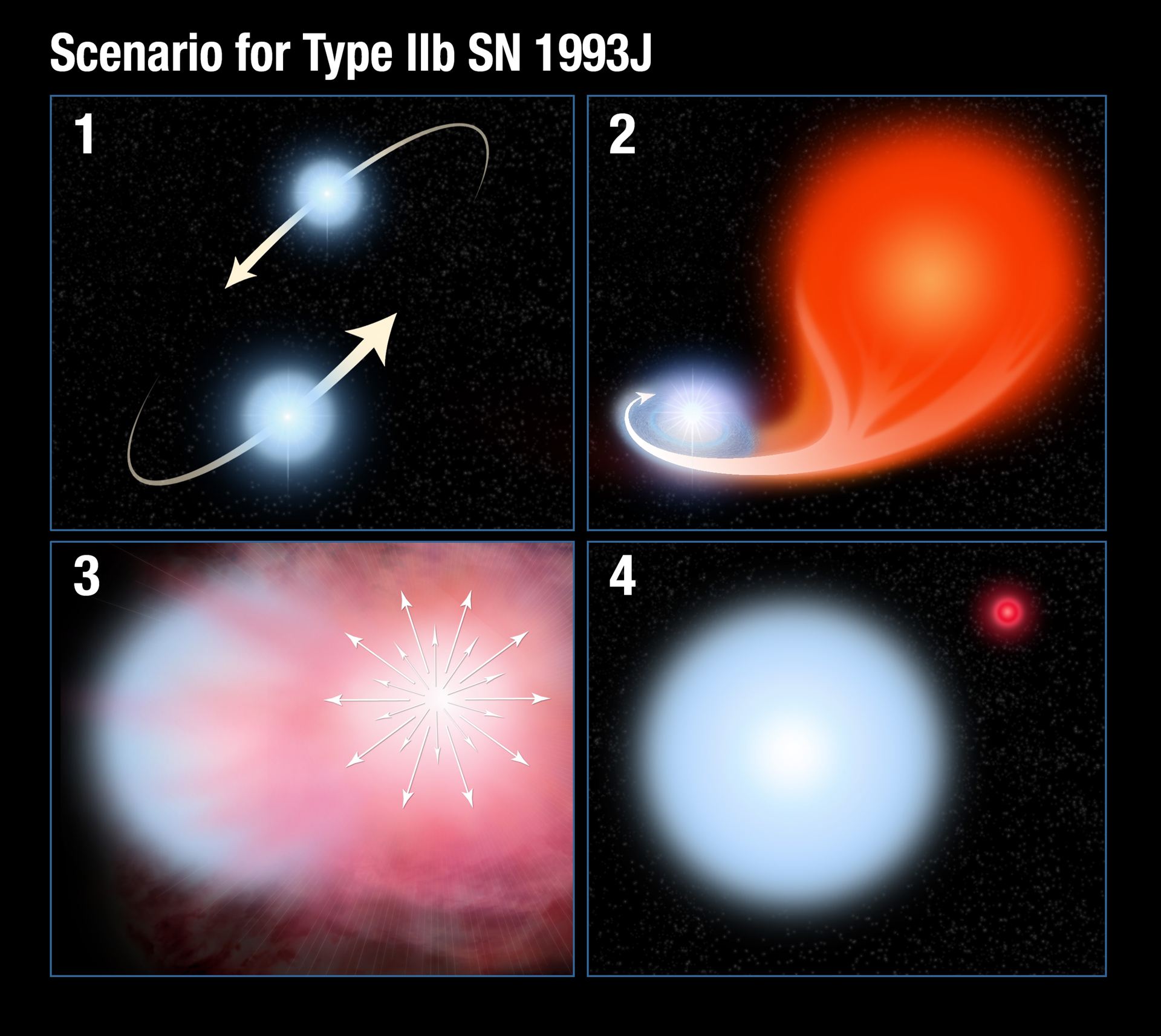 Scenario for Type IIb supernova 1993J