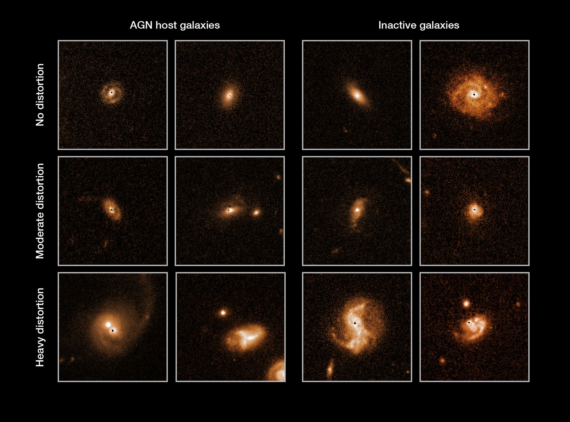 Selected galaxies from the COSMOS survey
