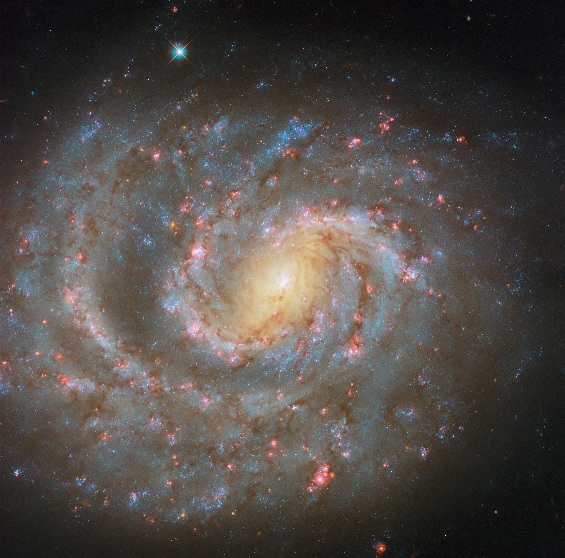 Signs of the stellar lifecycle