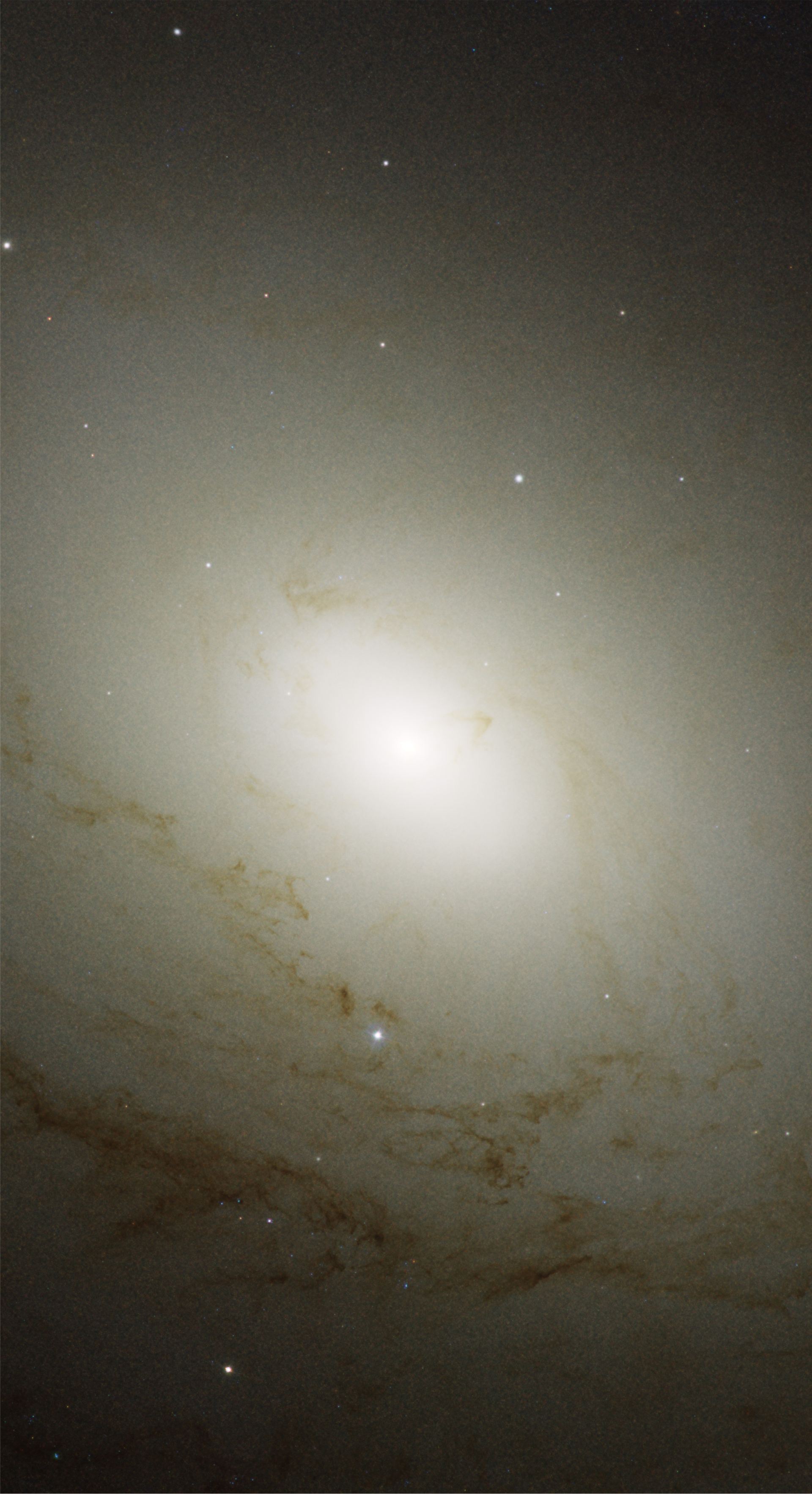 Spiral Galaxy M81 Details 1