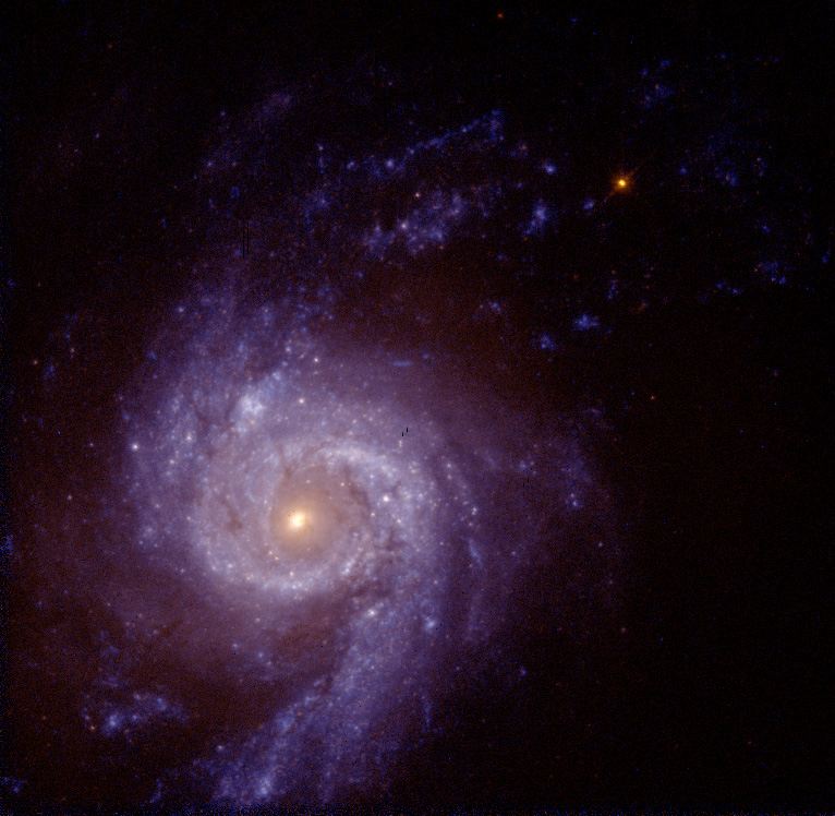 Spiral Galaxy NGC 3310
