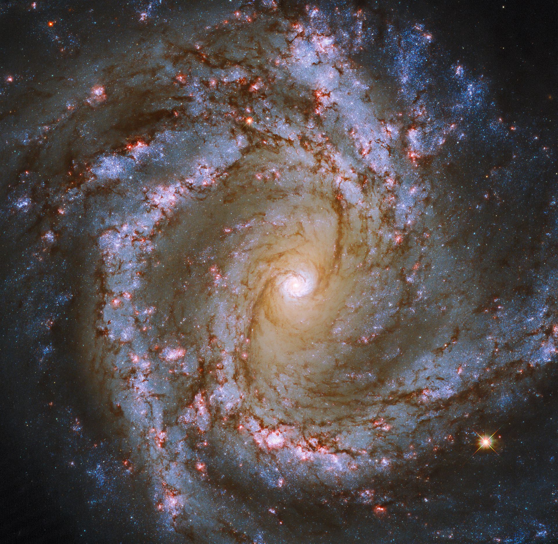 Spiral Snapshot