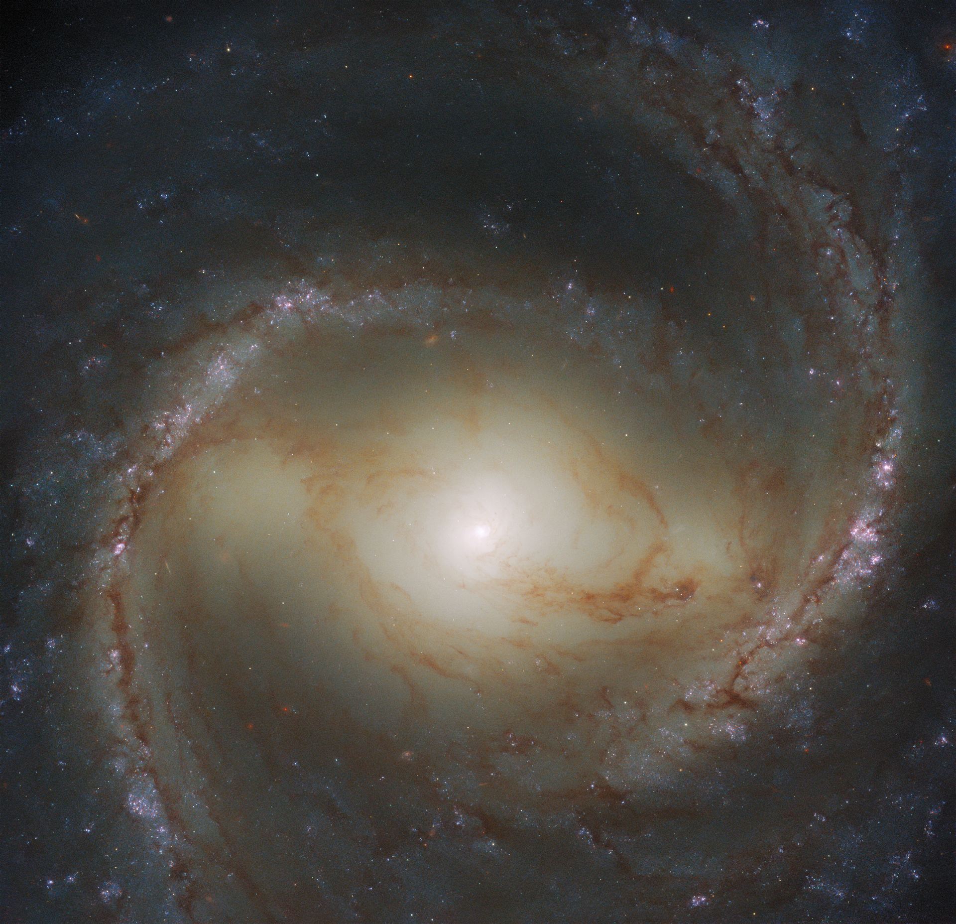 Spiral Snapshot