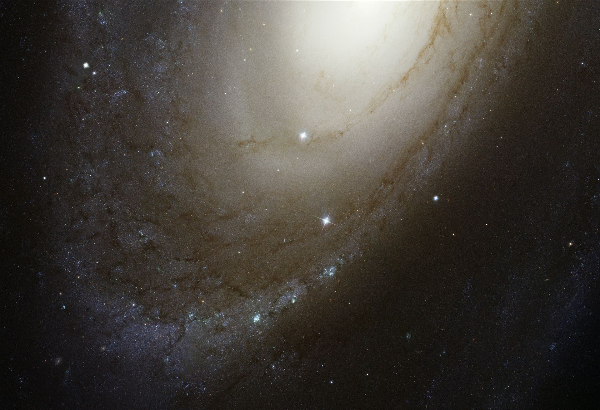 Spiral galaxy M81