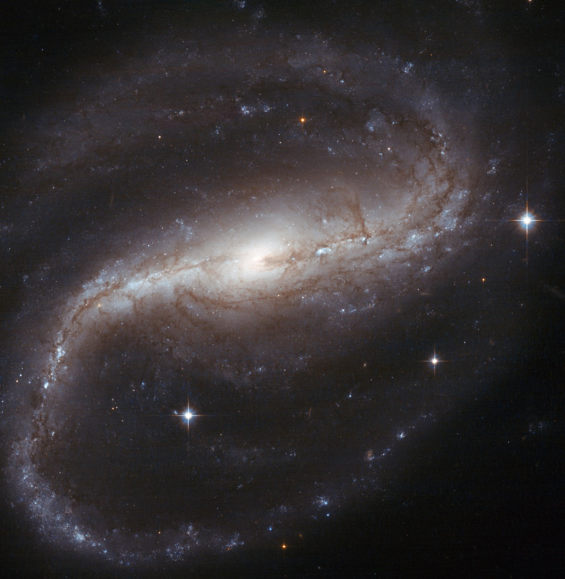 Spiral spins both ways
