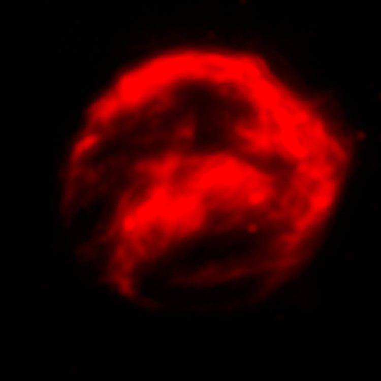 Spitzer Space Telescope Infrared Data of Kepler&rsquo;s Supernova Remnant
