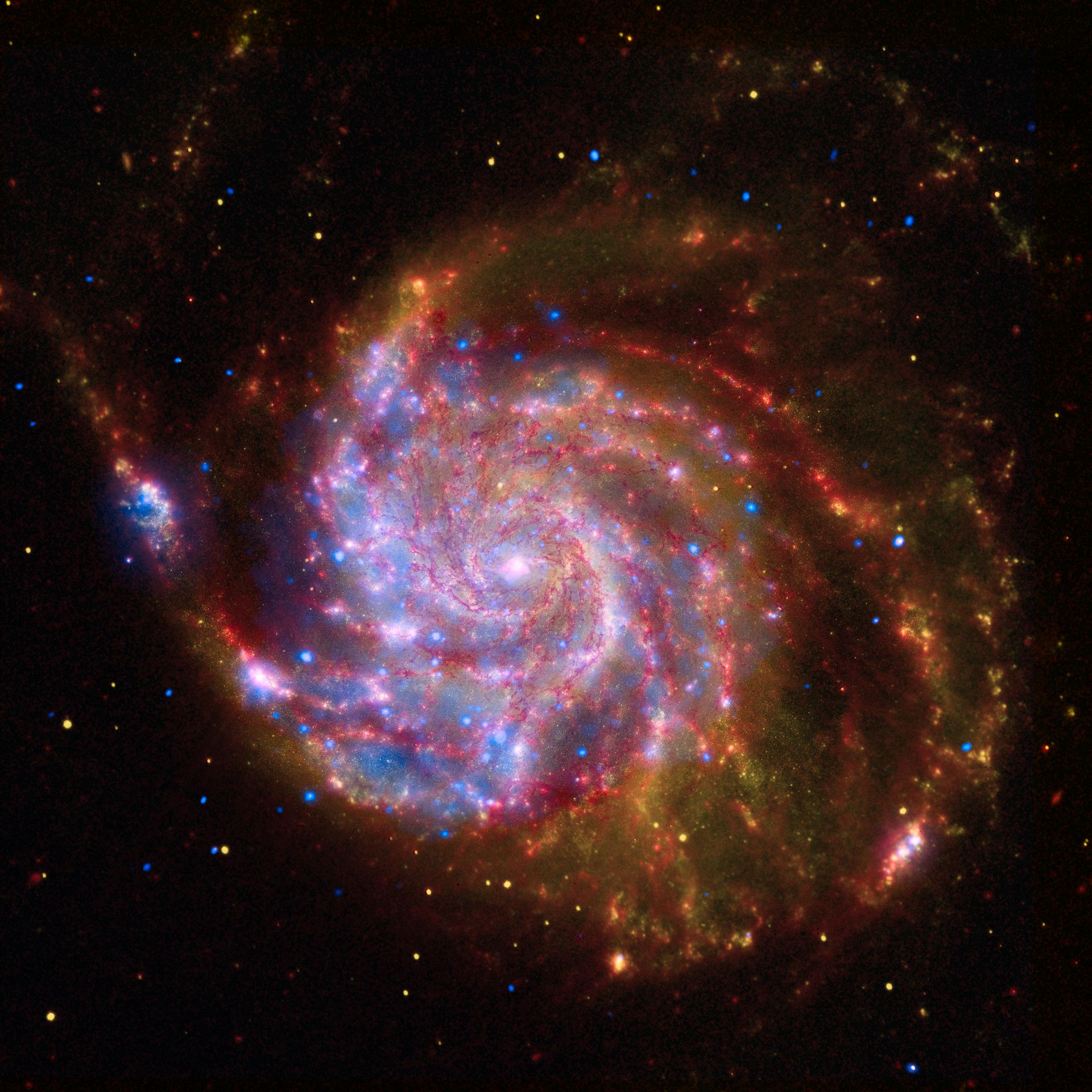 Spitzer-Hubble-Chandra Composite of M101