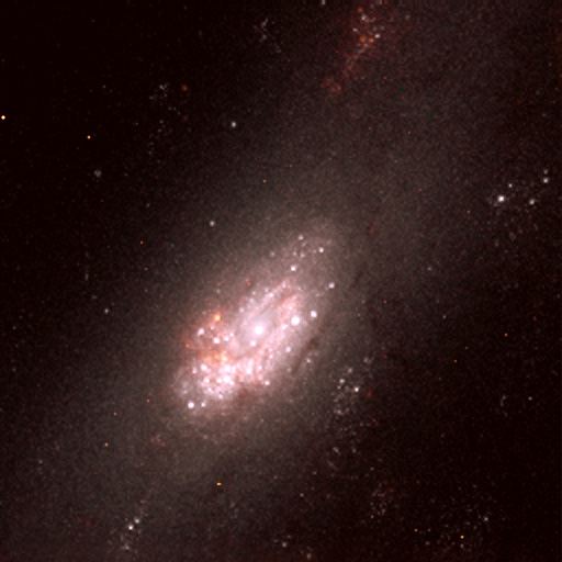 Star Clusters and Circumnuclear Ring in the Centre of NGC 2903 (NICMOS)