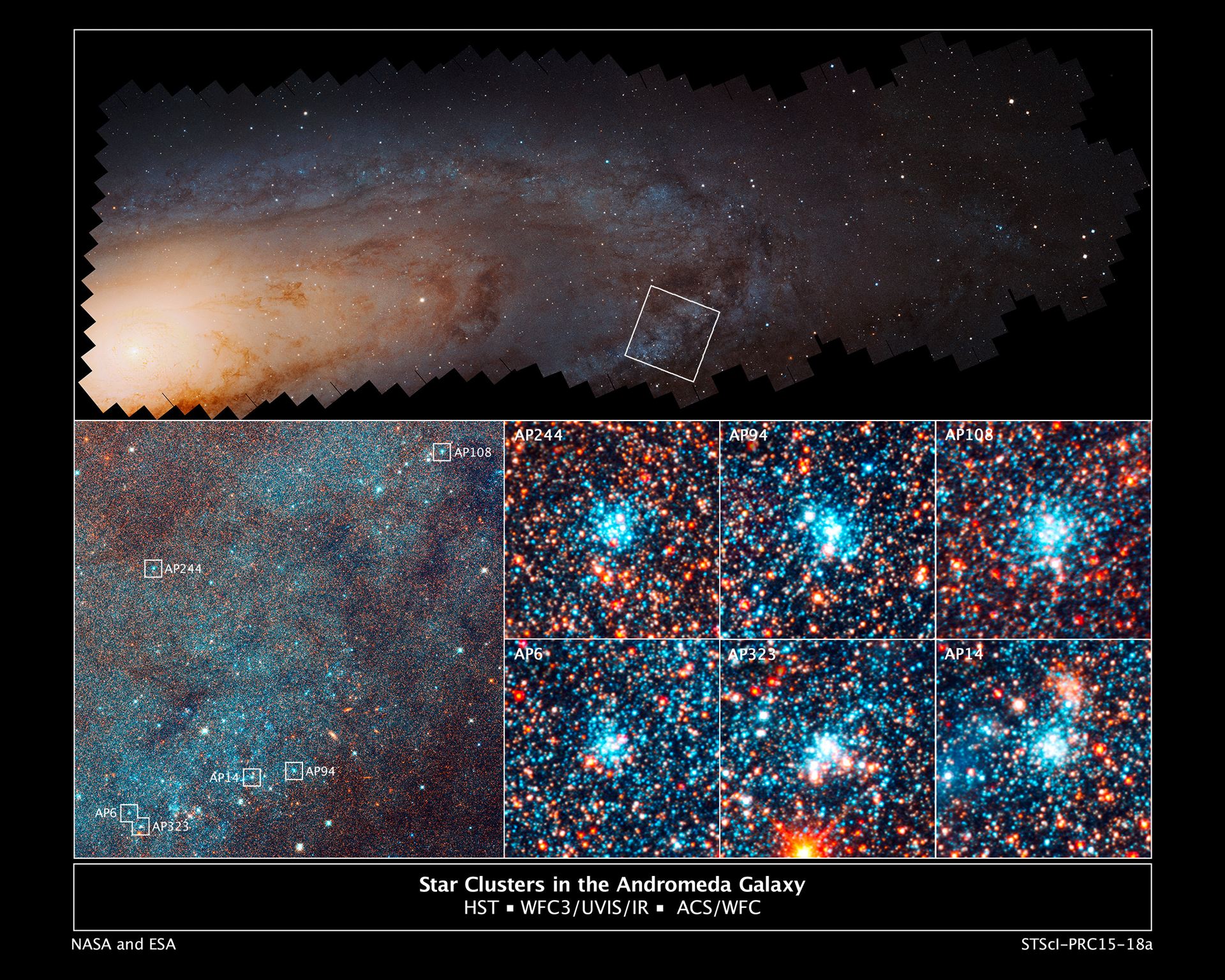 Star cluster in the Andromeda galaxy