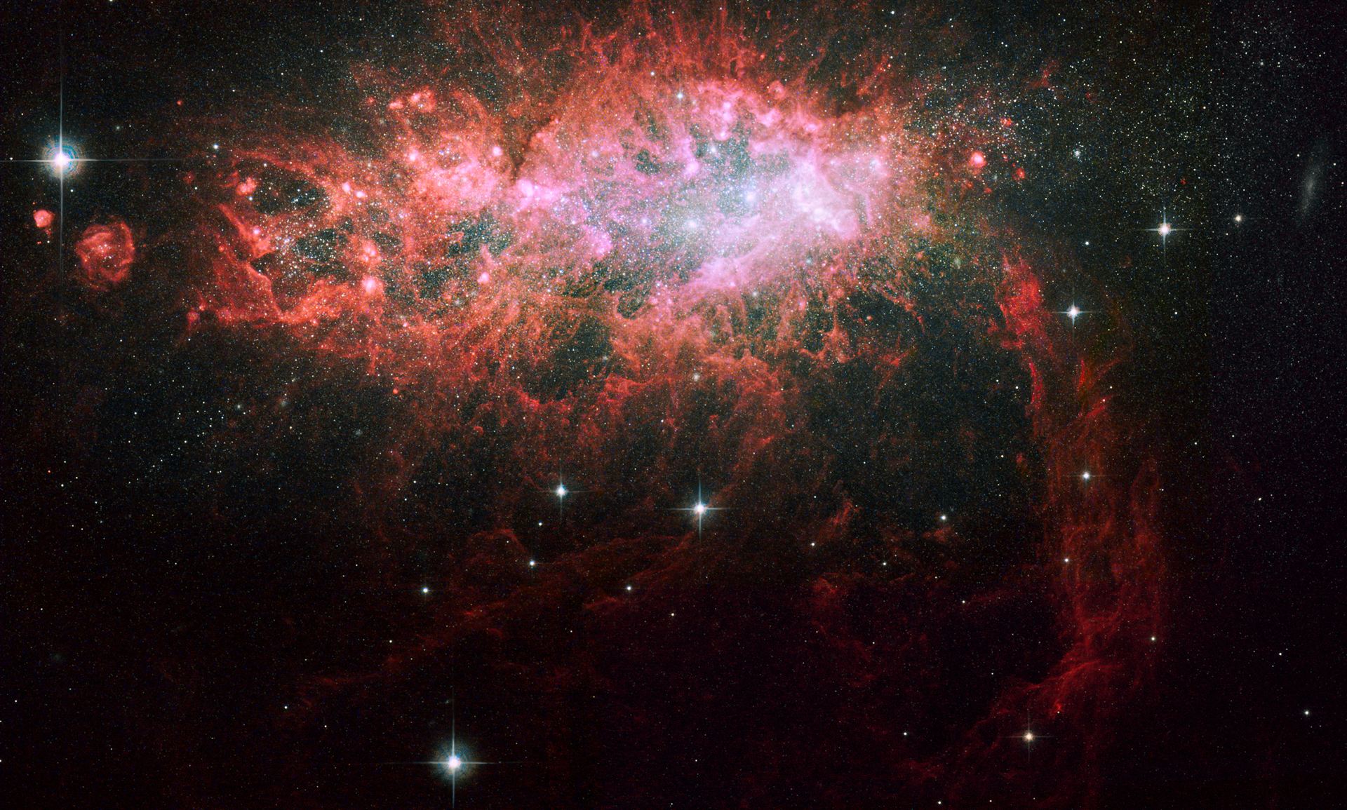 Starburst galaxy NGC 1569