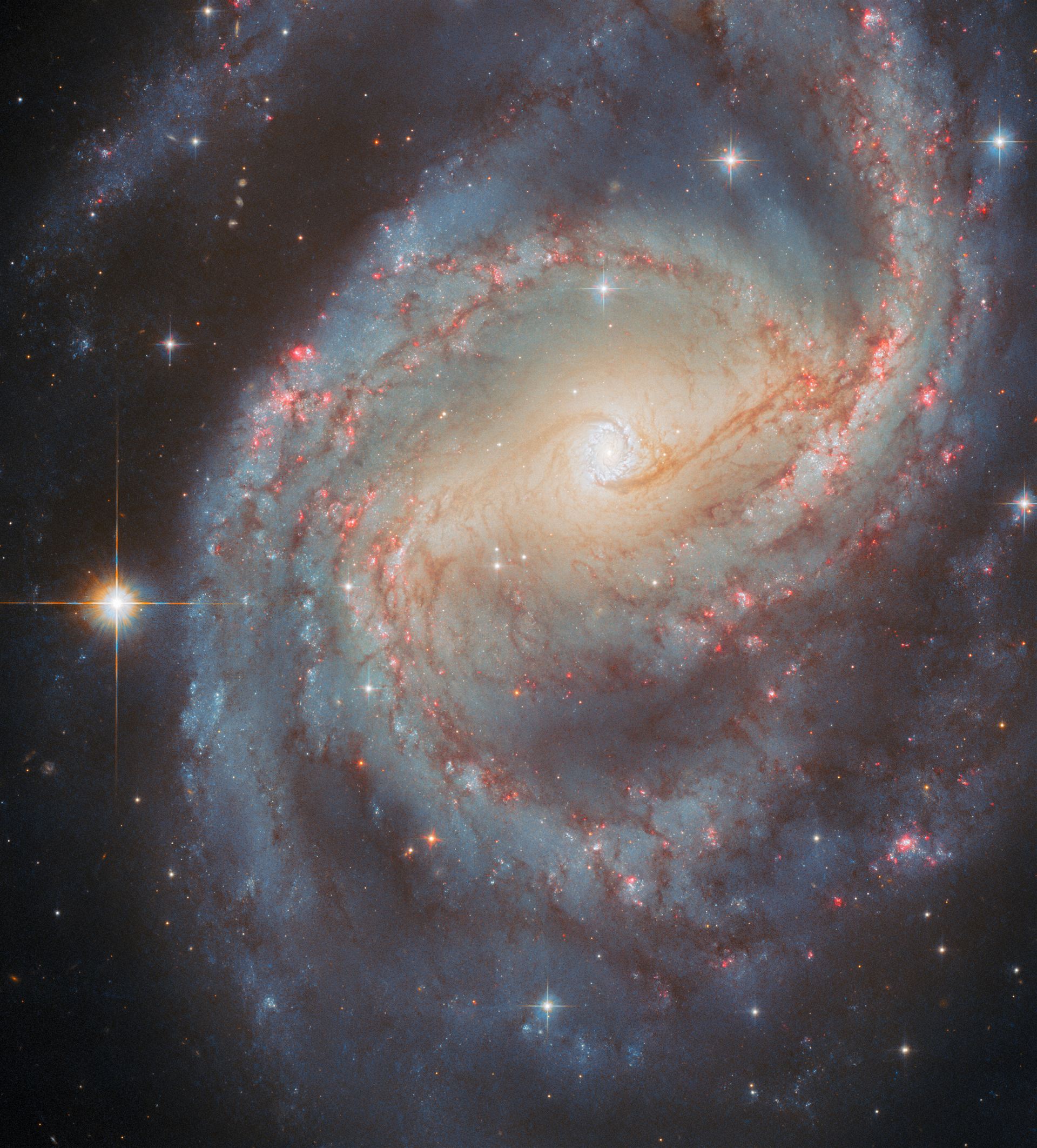 Starbursting centre