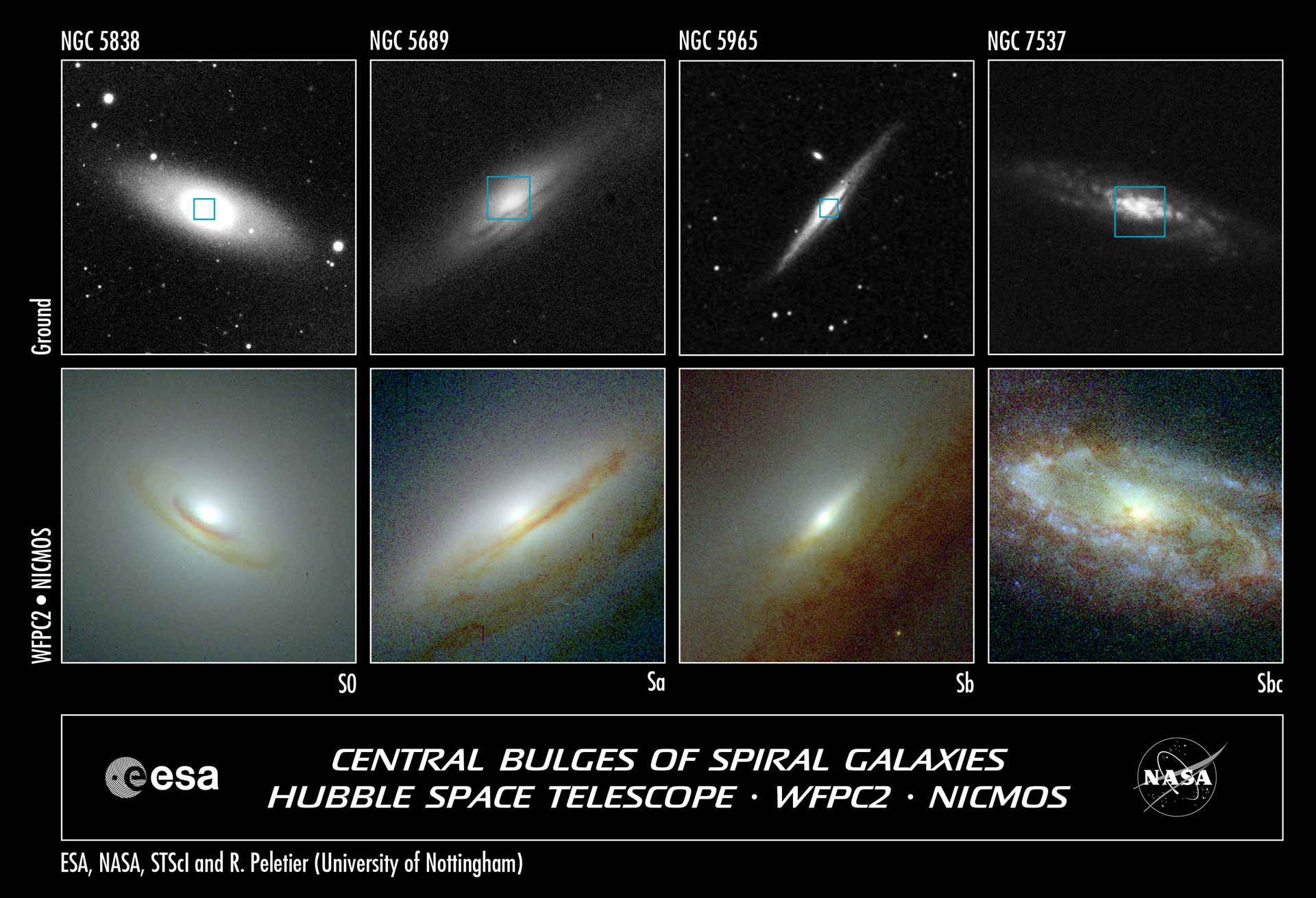Starry Bulges Yield Secrets to Galaxy Growth (Hubble and Ground-Based View)
