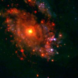 Starry bulges yield secrets to galaxy growth (Hubble NICMOS View)