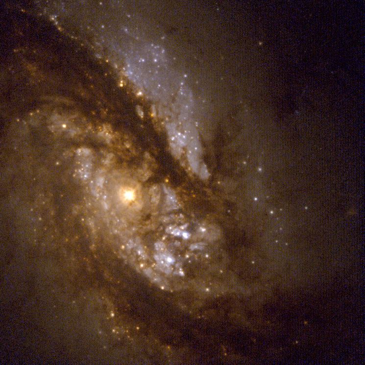 Starry bulges yield secrets to galaxy growth (Hubble WFPC2 view)