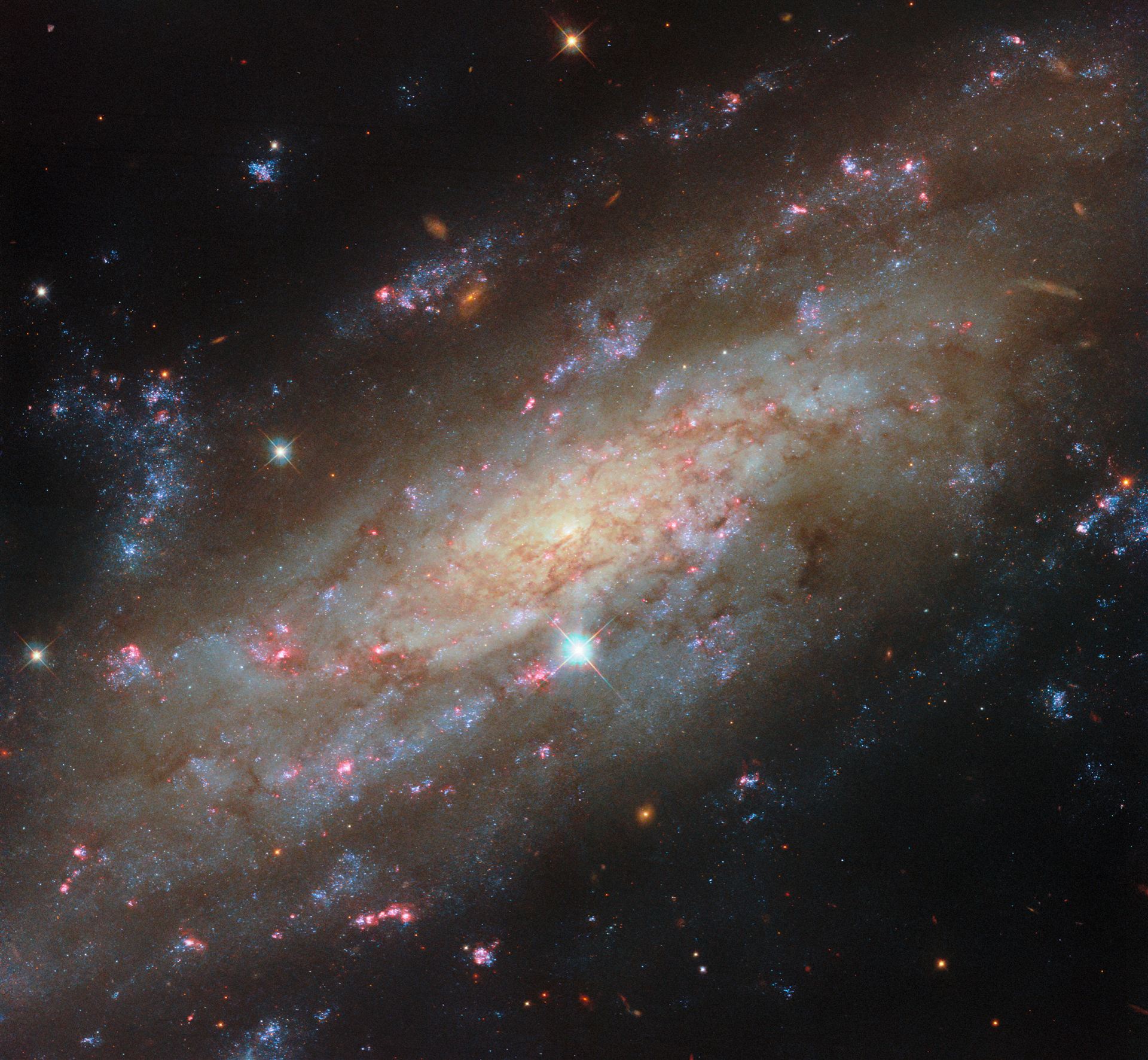 Starry spiral in a familiar neighbourhood