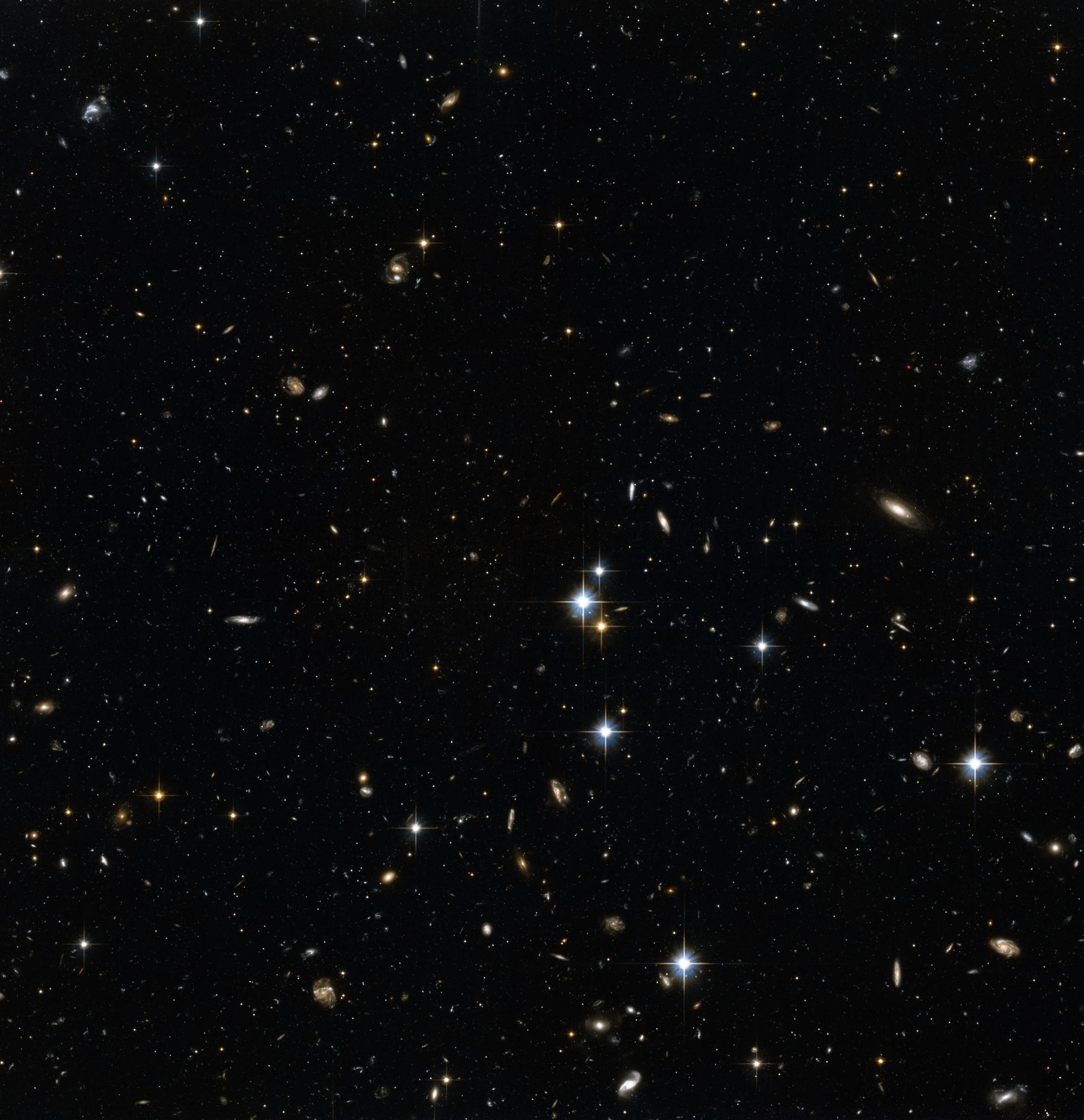 Stars in the Andromeda Galaxy’s halo with background galaxies (1)