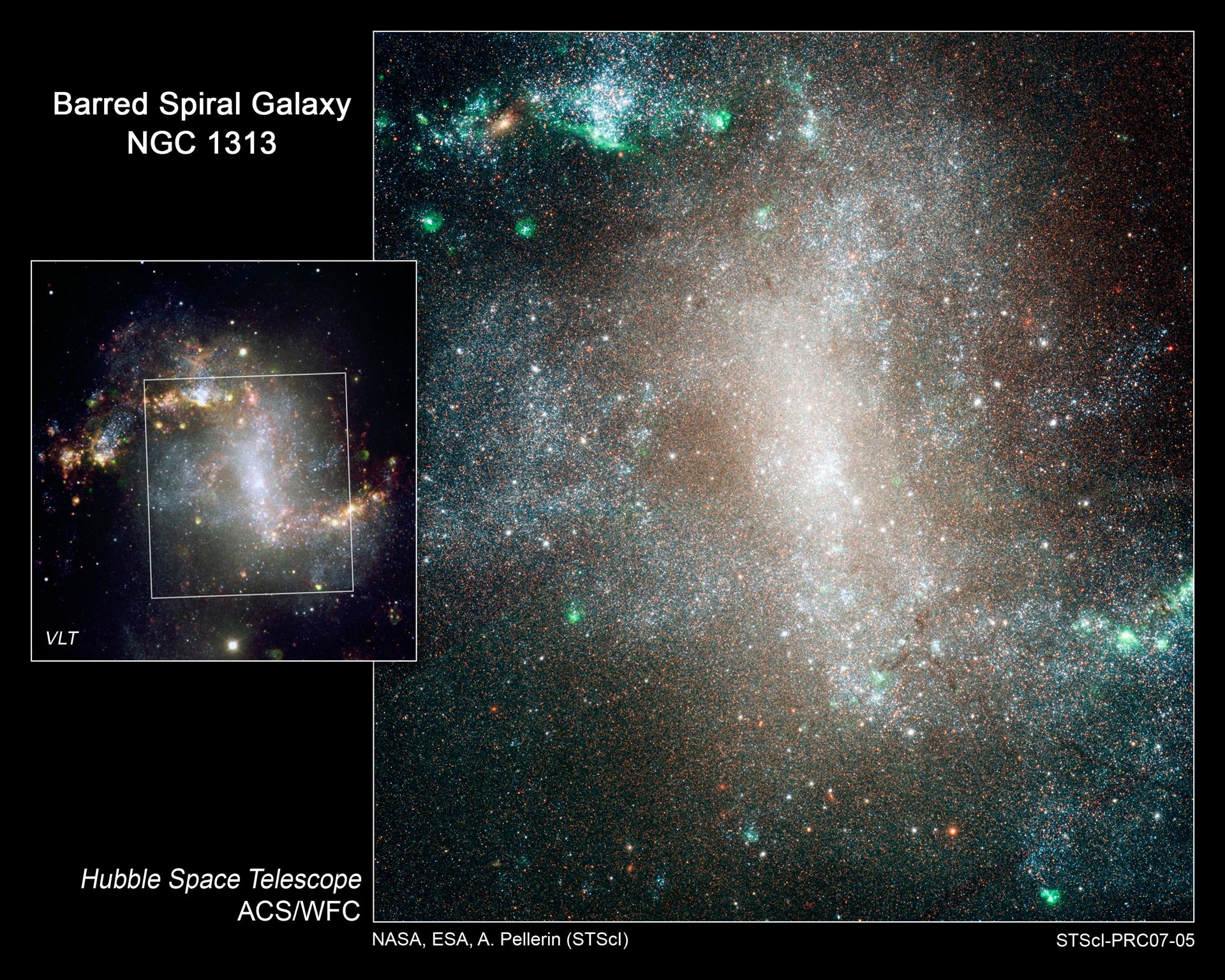 Stellar Infant Mortality in Spiral Galaxy NGC 1313