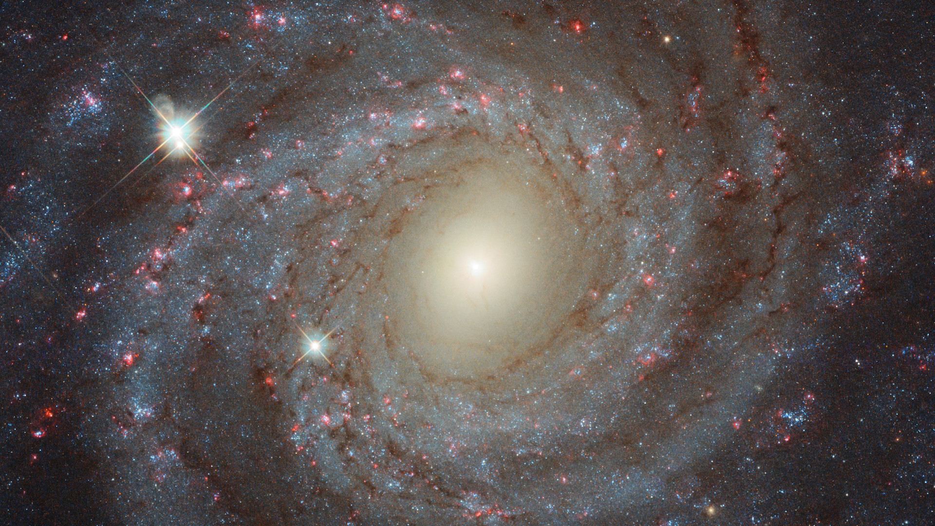 Still from Hubblecast 107 The meaningful colours of NGC 3344