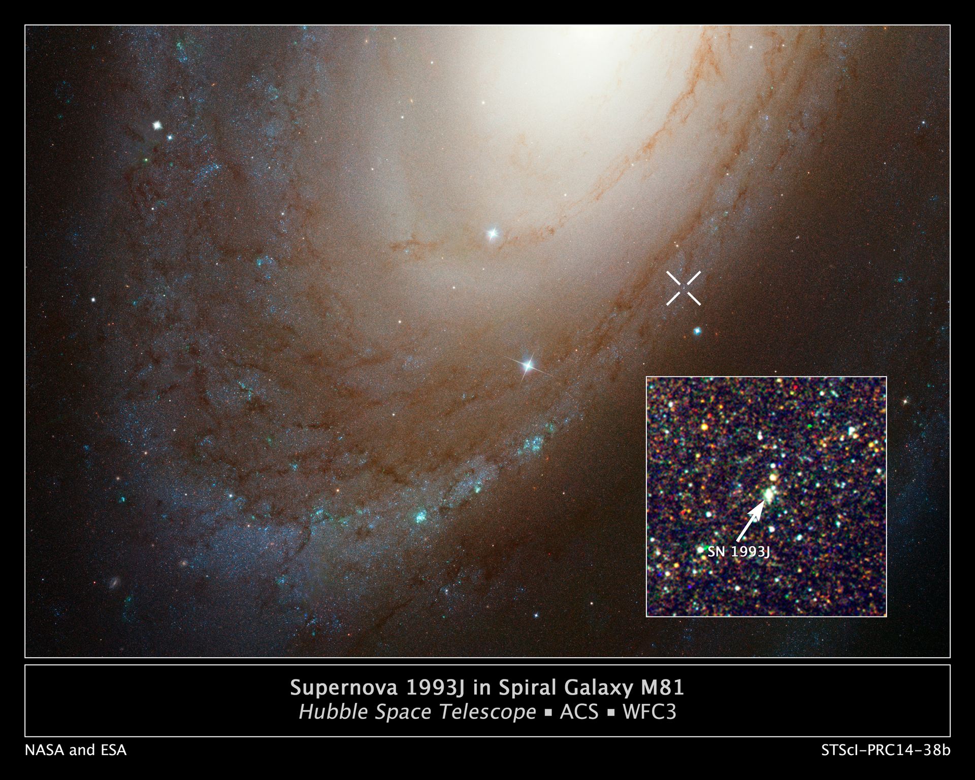 Supernova 1993J in spiral galaxy M81