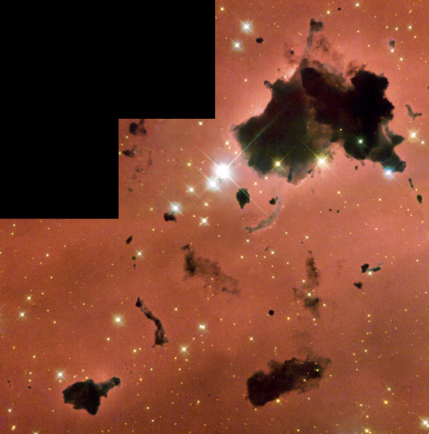 Thackeray&rsquo;s globules in IC 2944