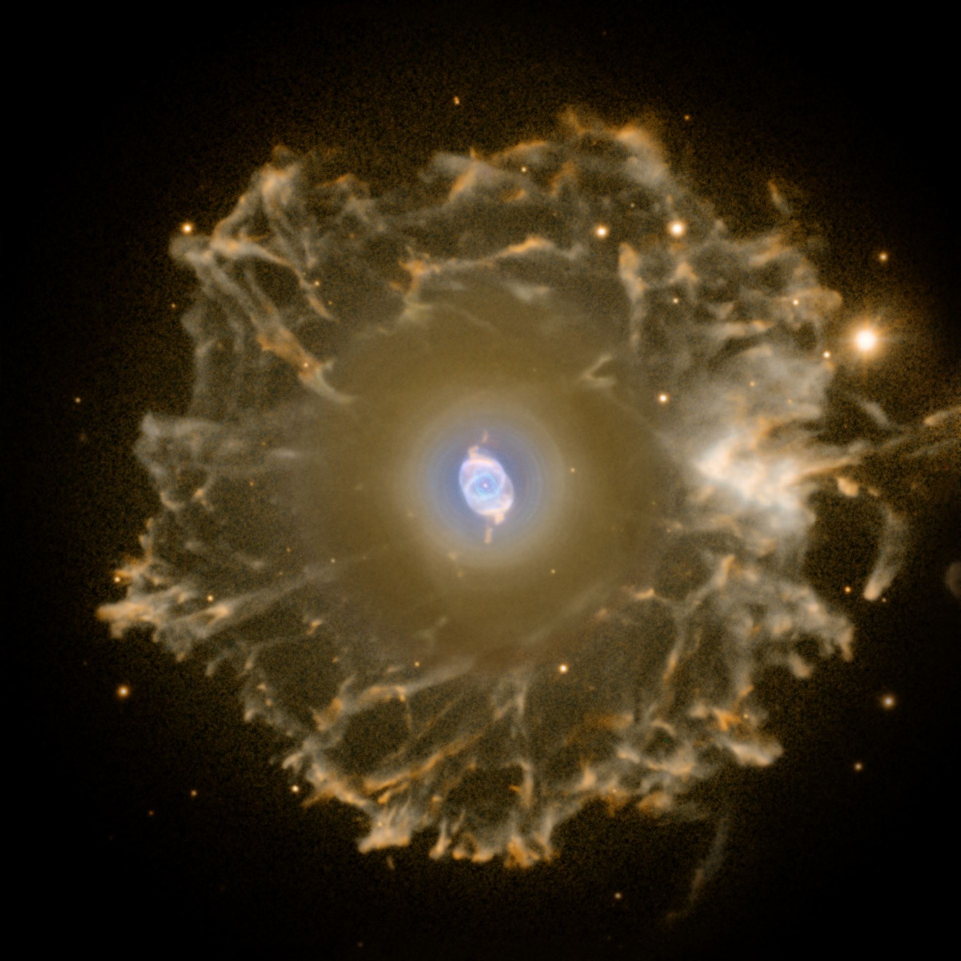 The Cat&rsquo;s Eye Nebula imaged with the Nordic Optical Telescope