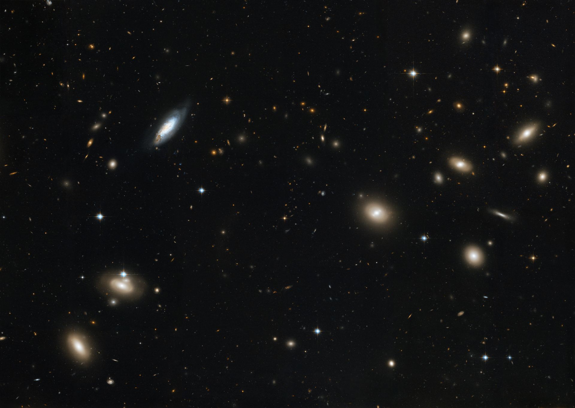 The Coma Galaxy Cluster as seen by Hubble