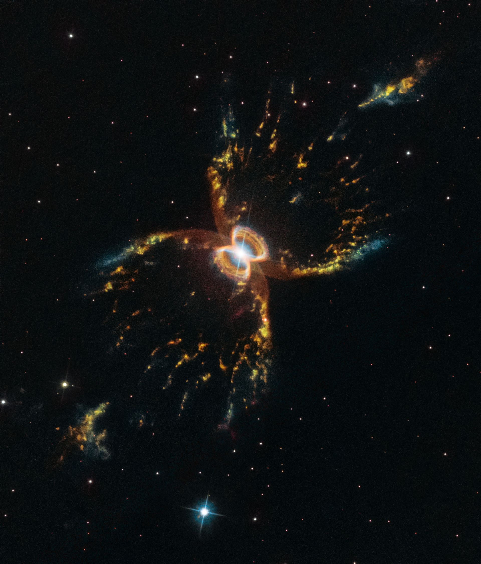 The Crab of the Southern Sky