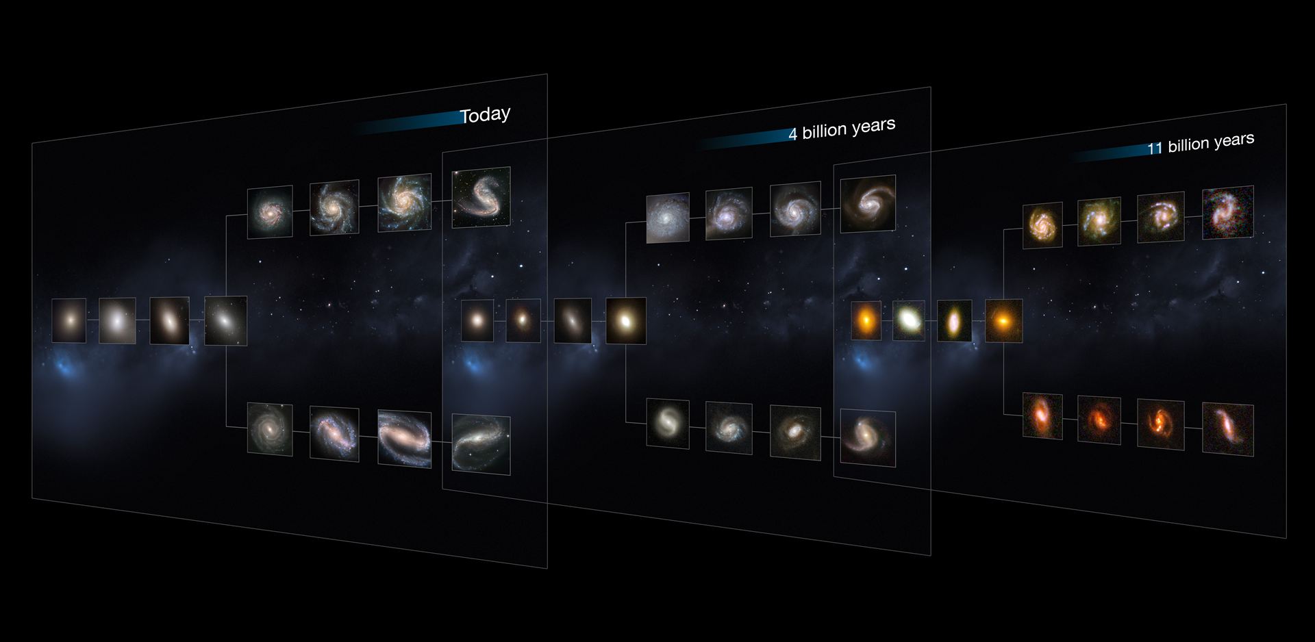 The Hubble Sequence throughout the Universe&rsquo;s history