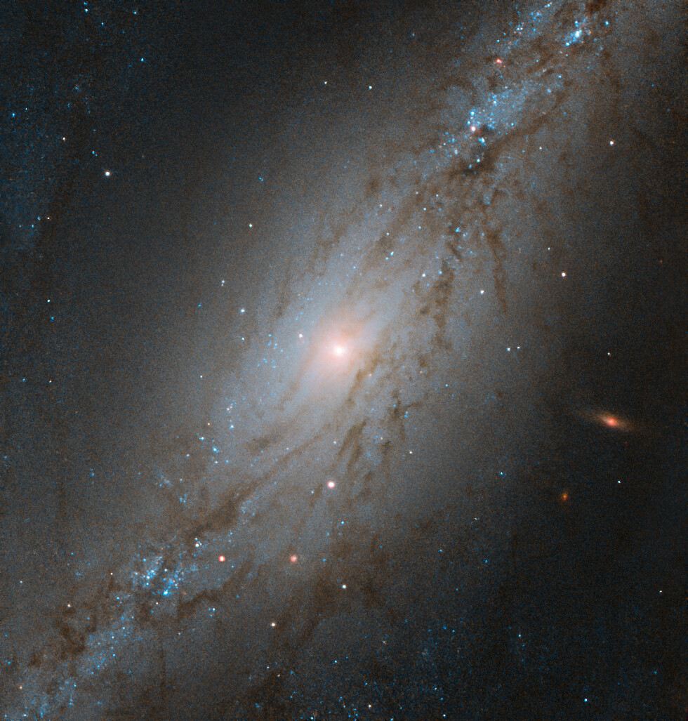 The Sculpted Galaxy