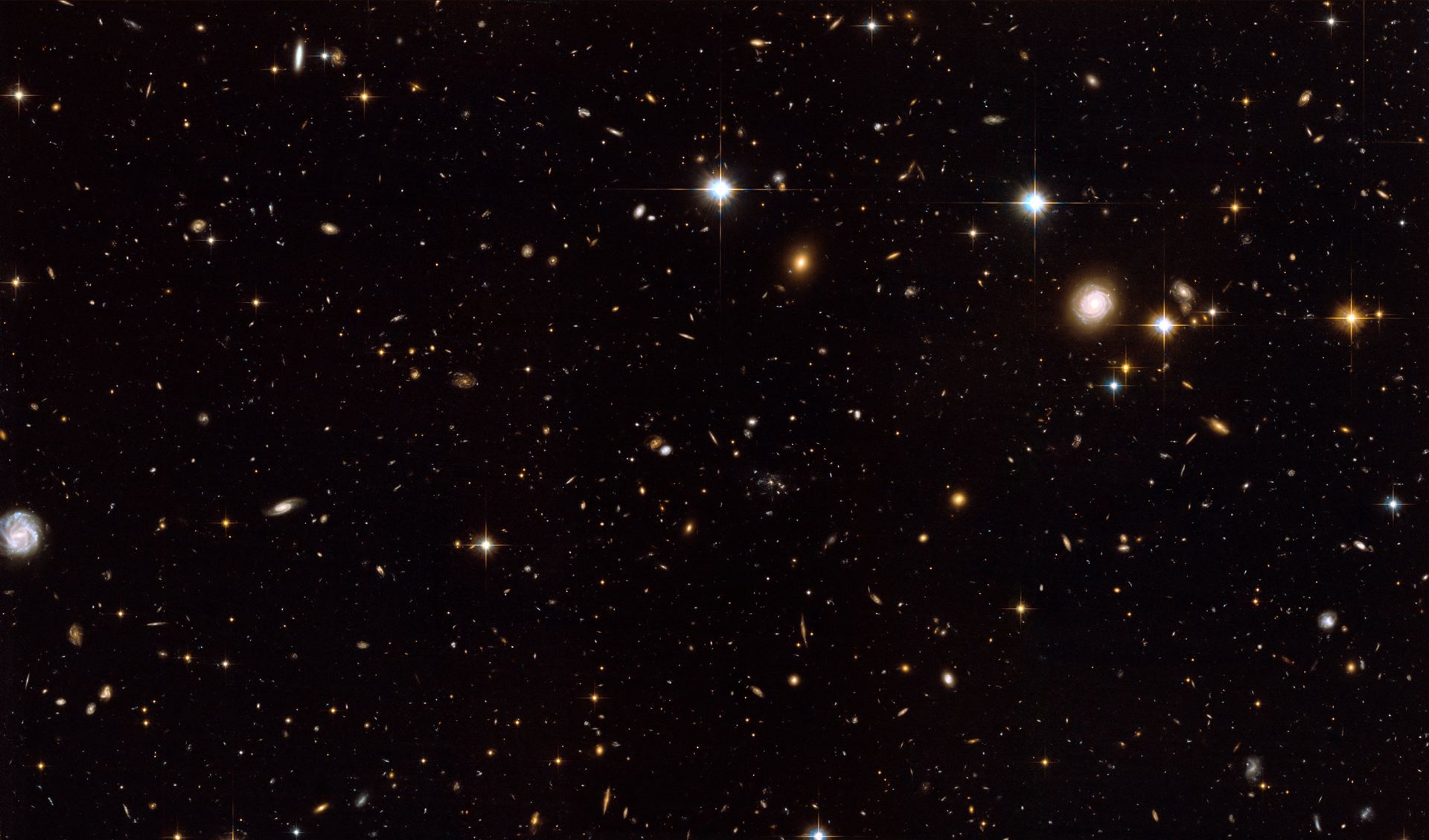 The Spiderweb Galaxy and its surroundings [full ACS view]