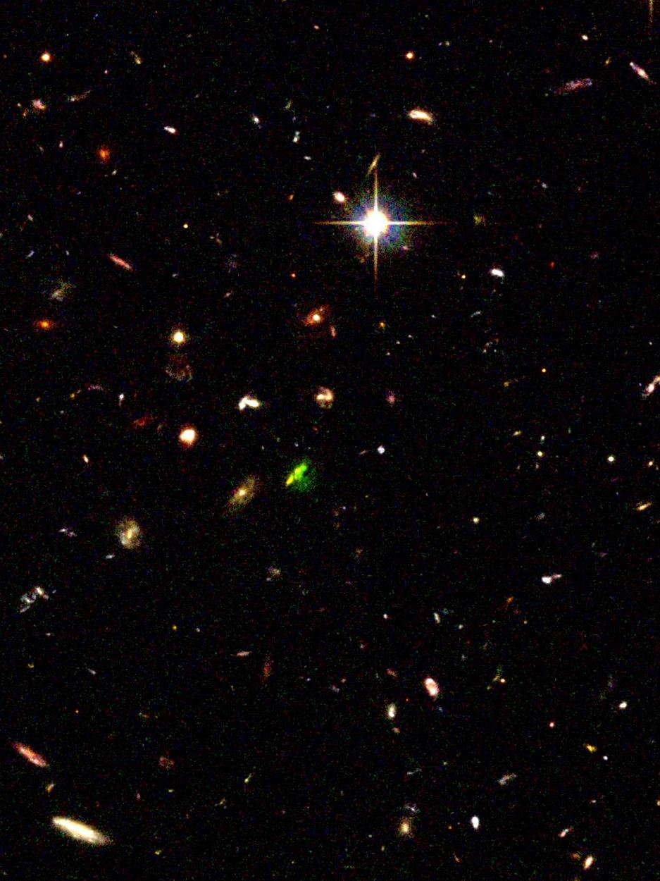 The cluster TNJ1338-1942 (overview)