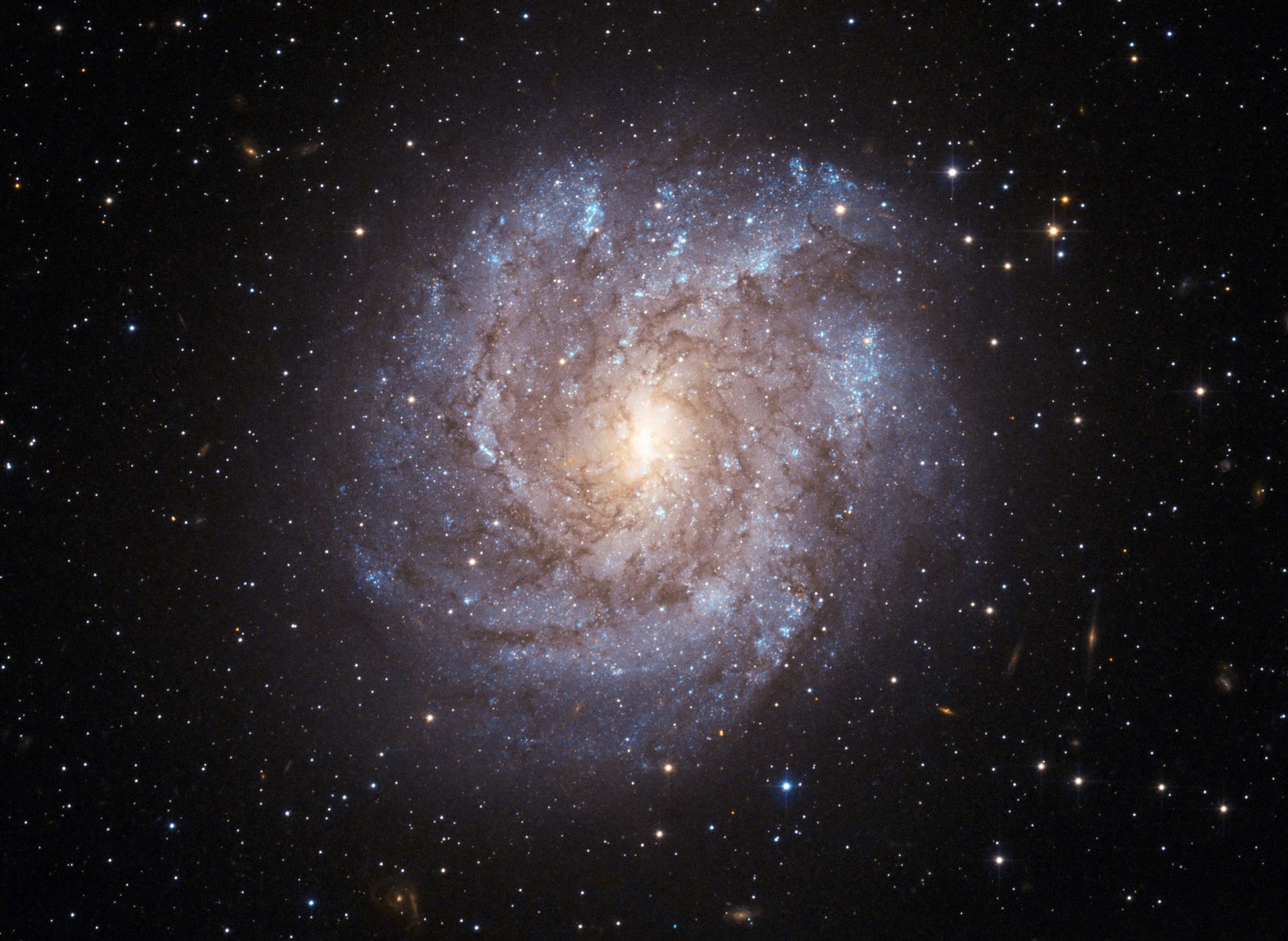 The dusty beauty of NGC 2082