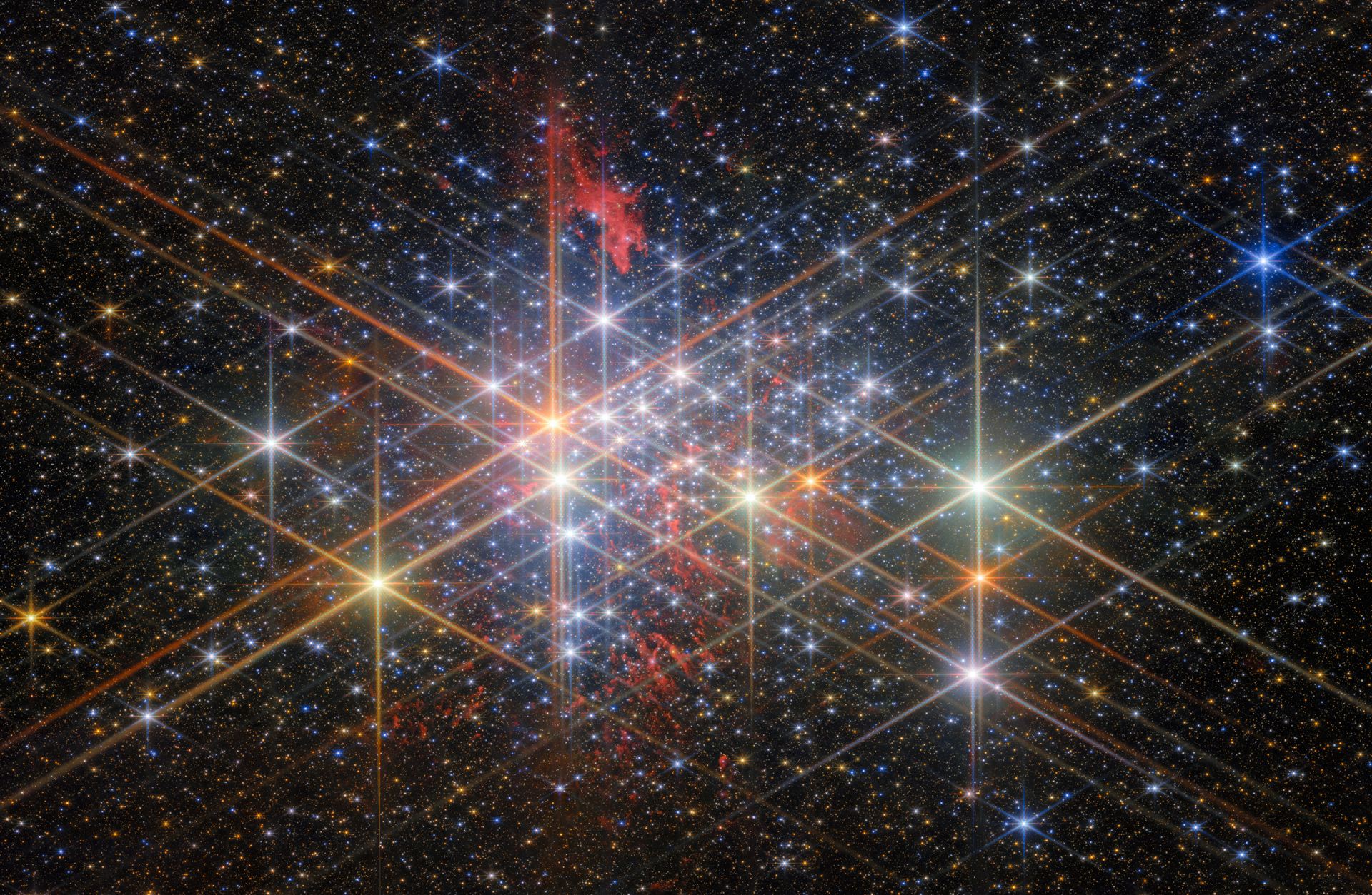 The exotic stellar population of Westerlund 1