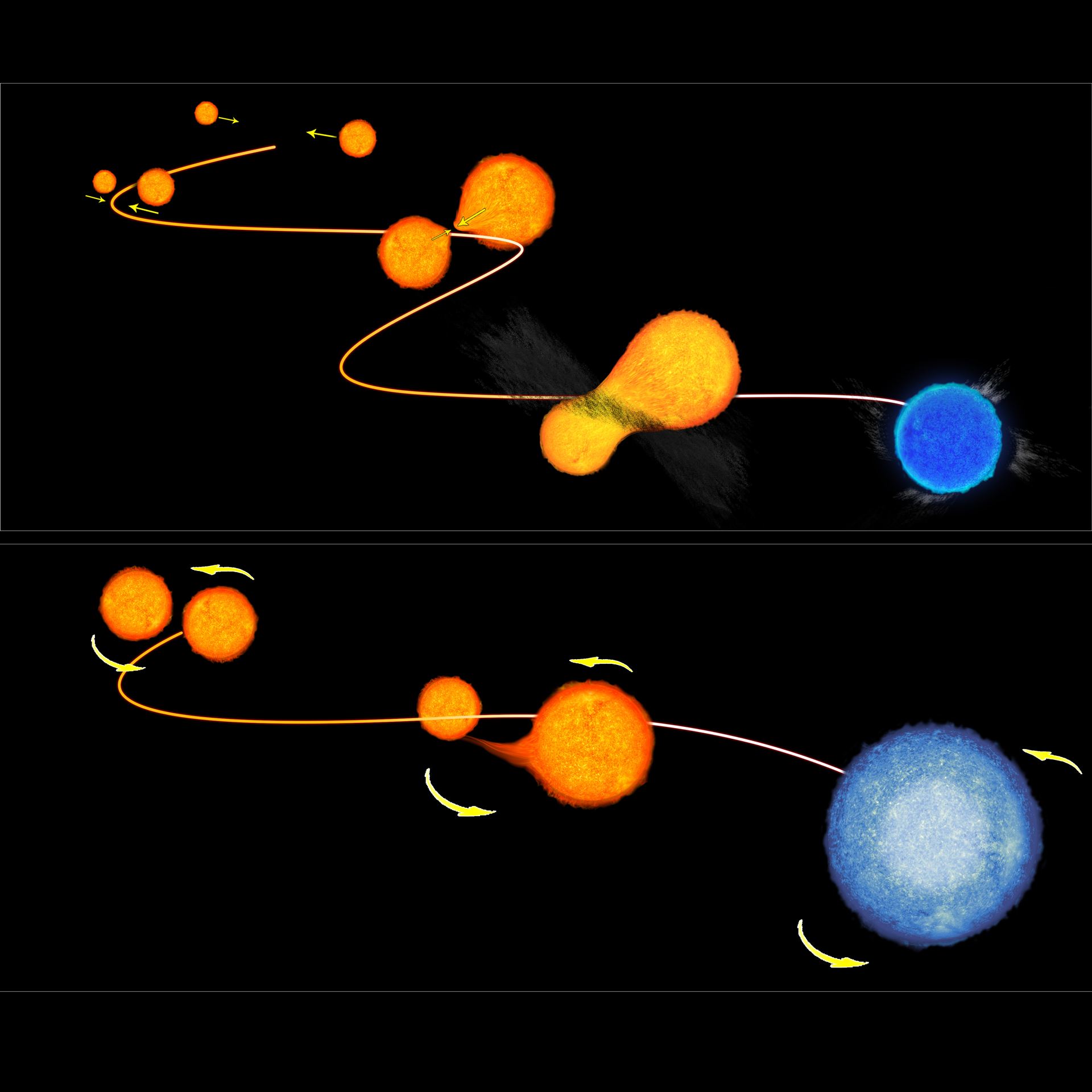 The formation of blue stragglers