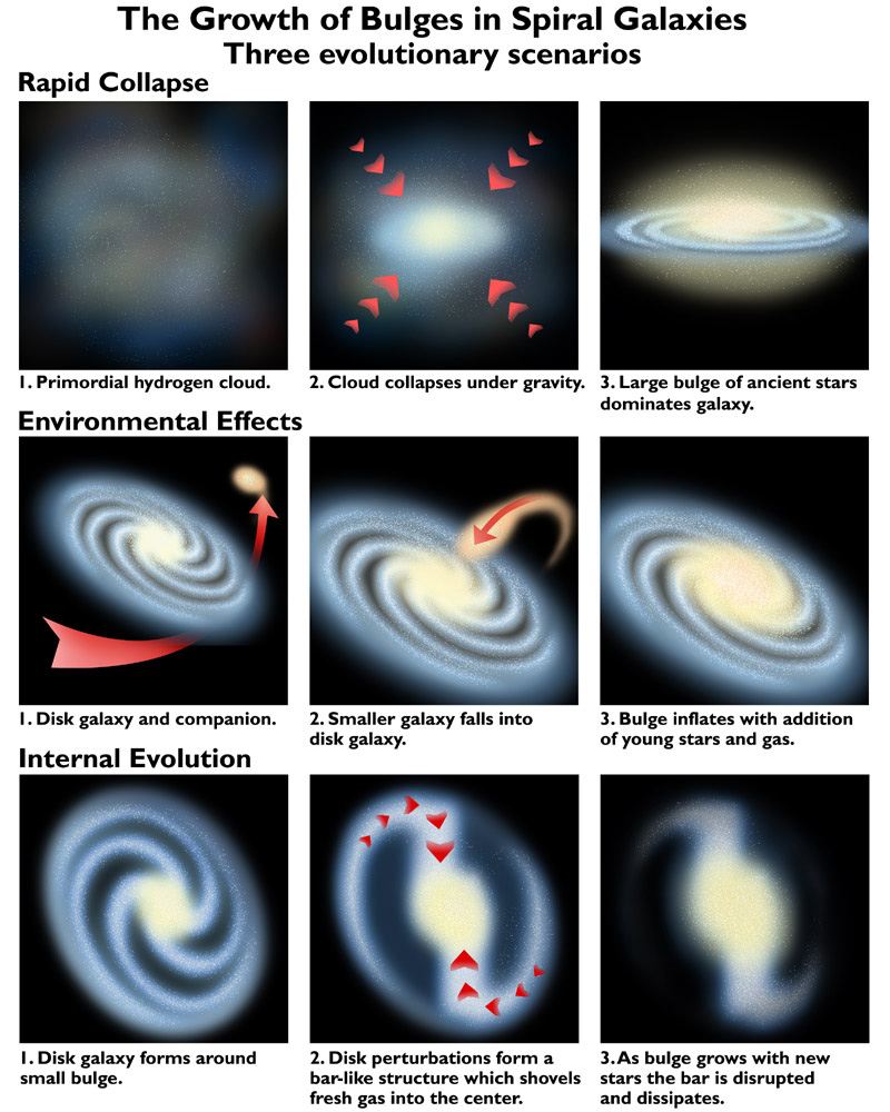 The growth of bulges in spiral galaxies