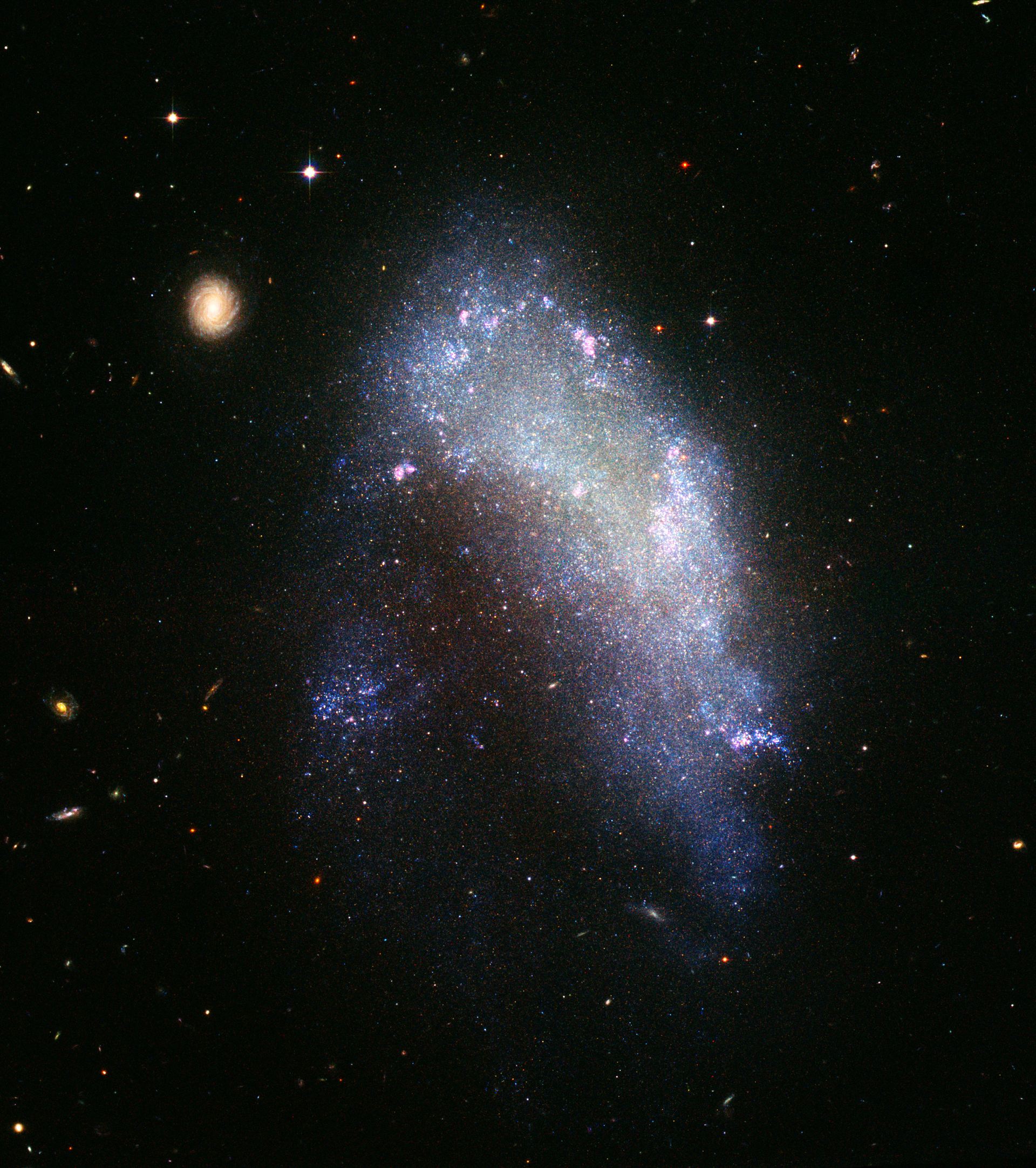 The impending destruction of NGC 1427A