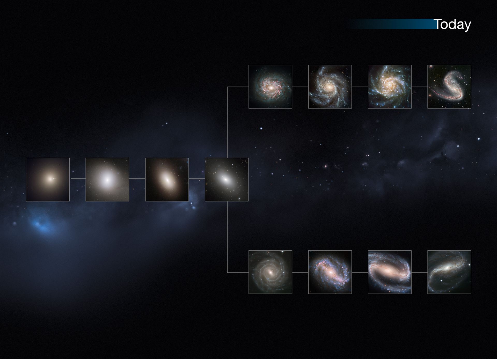 The present day Universe