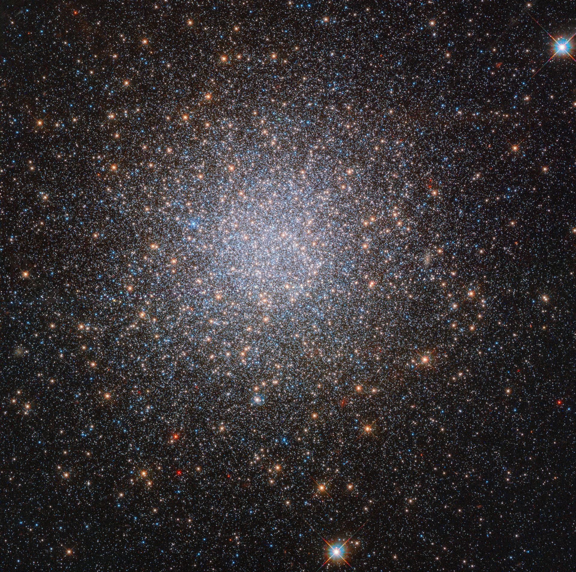 The two mysterious populations of NGC 2419