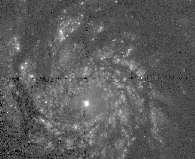 The whirlpool galaxy