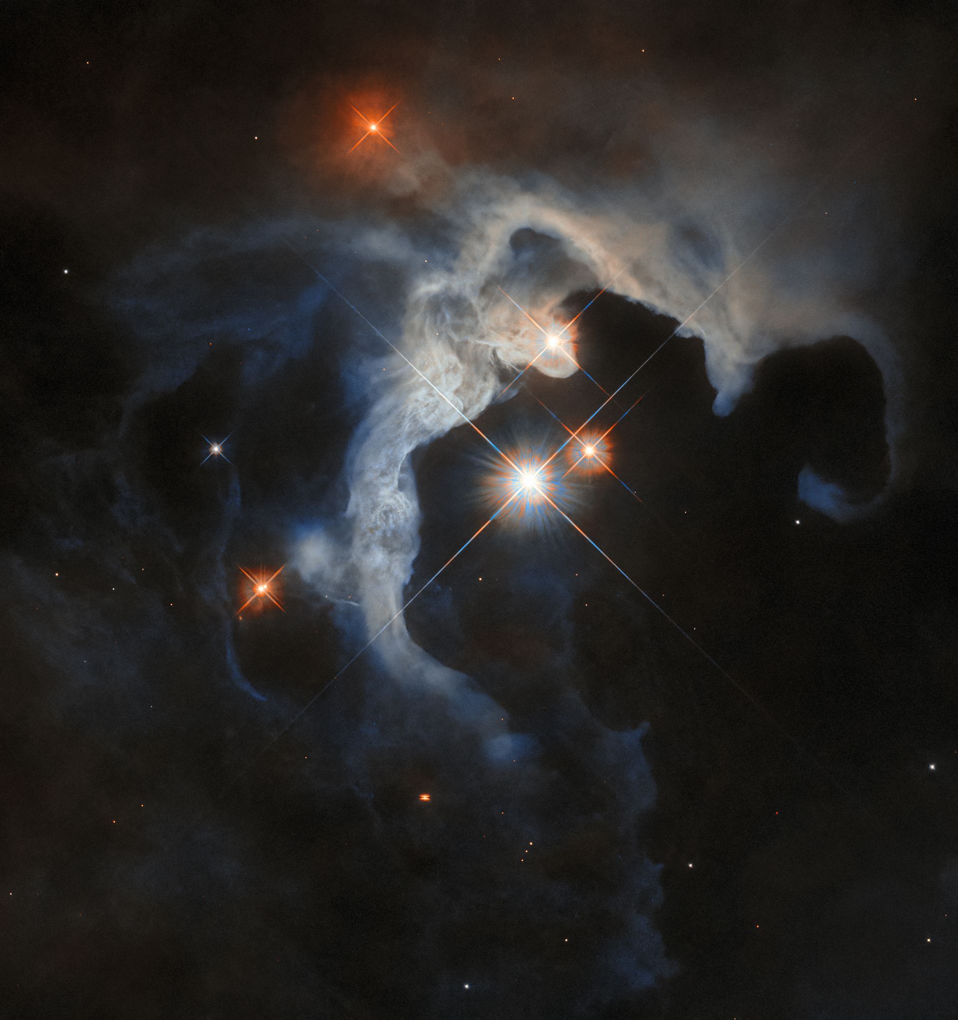 The young stars of Taurus