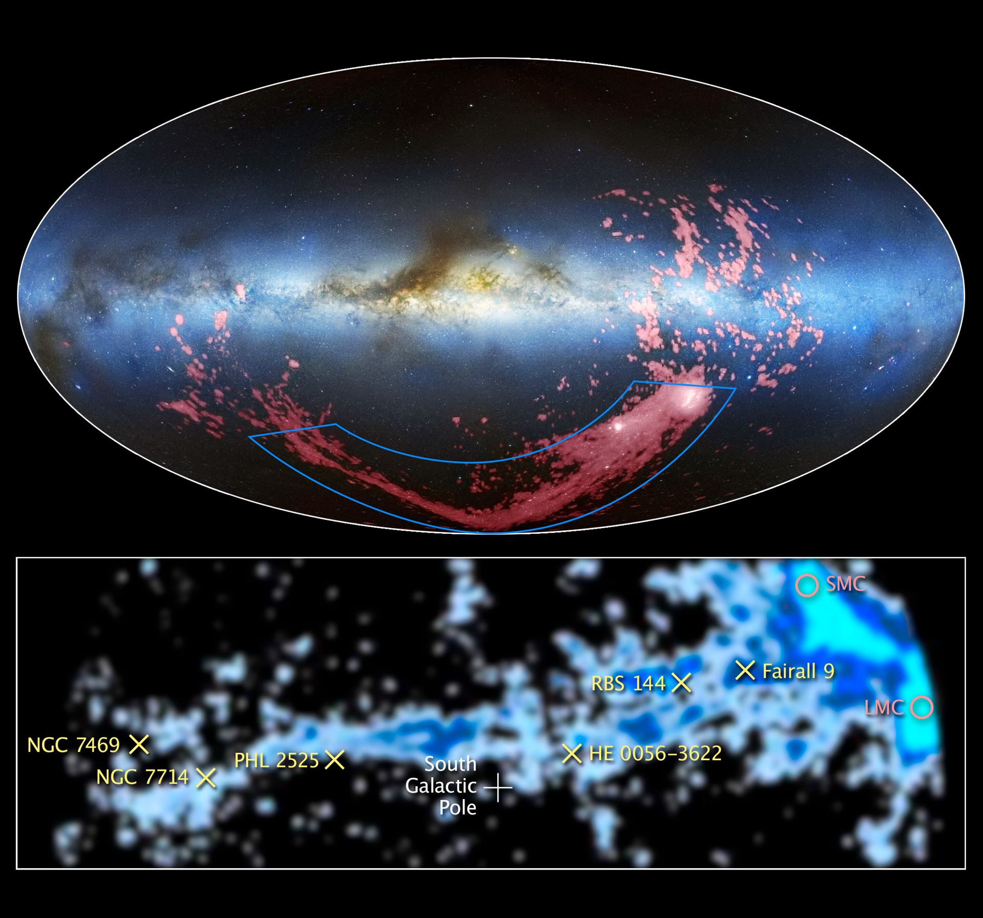 Tracing the origin of the Magellanic Stream