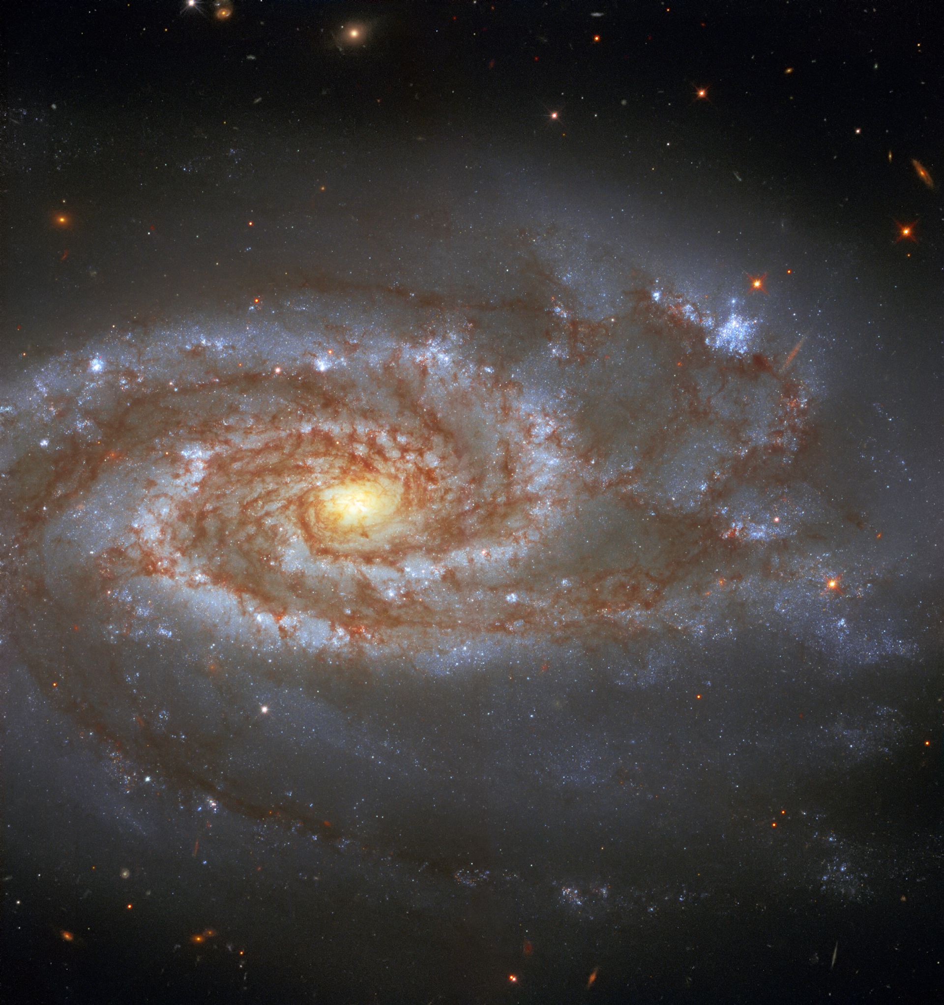 Two Supernovae, One Galaxy