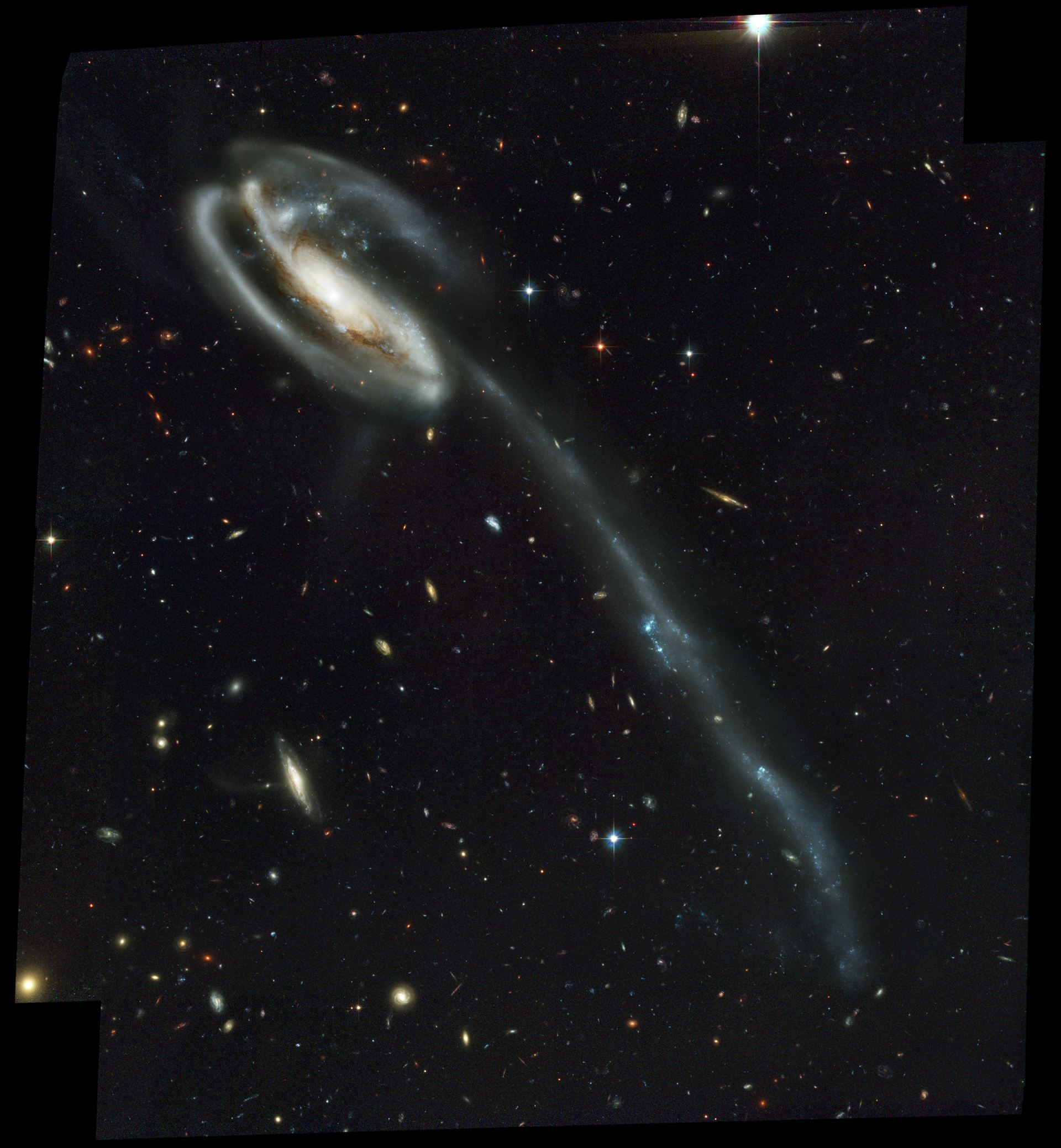 UGC 10214 (ACS Full Field Image)